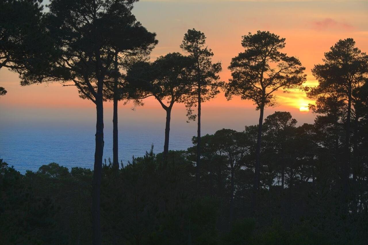 3707 Pacific'S Edge Sanctuary Home Carmel-by-the-Sea 외부 사진
