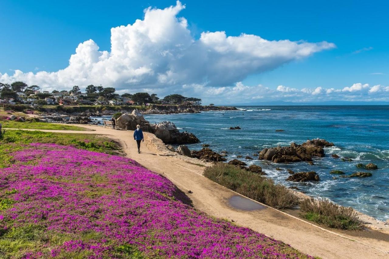 3707 Pacific'S Edge Sanctuary Home Carmel-by-the-Sea 외부 사진