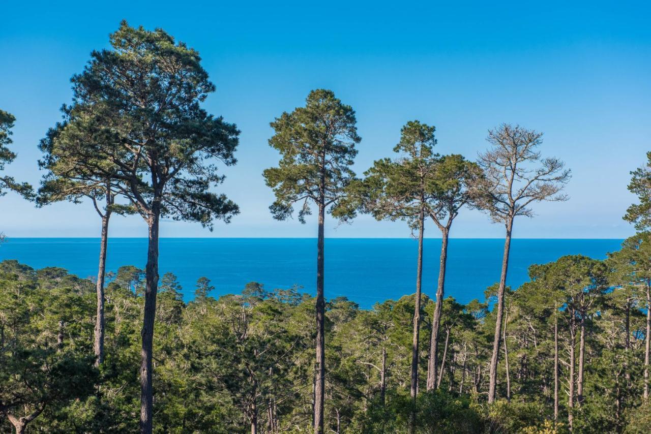 3707 Pacific'S Edge Sanctuary Home Carmel-by-the-Sea 외부 사진